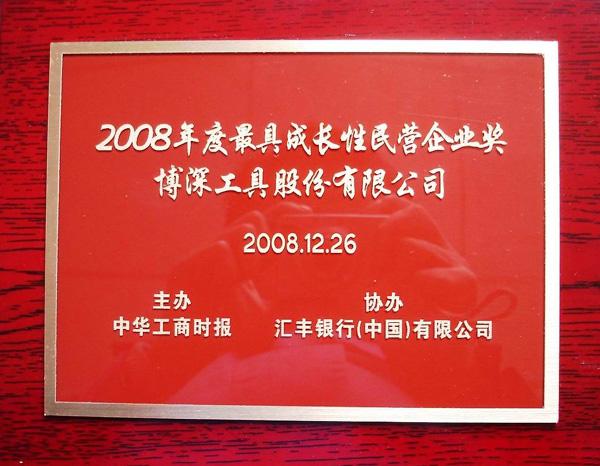 博深工具股份有限公司榮獲“最具成長性民營企業(yè)獎”