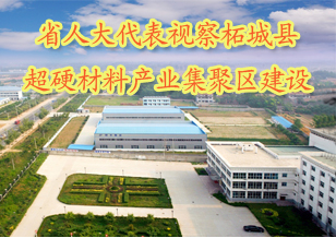 省人大代表視察柘城縣超硬材料產(chǎn)業(yè)集聚區(qū)建設(shè)