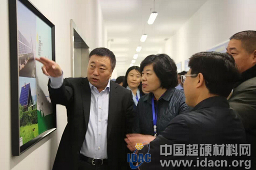 全國人大代表、省人大代表團(tuán)視察新大新材集團(tuán)工作