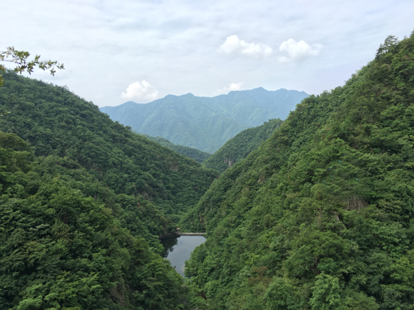 協(xié)會(huì)網(wǎng)站攜手西峽泰祥挺進(jìn)銀樹溝歡樂游
