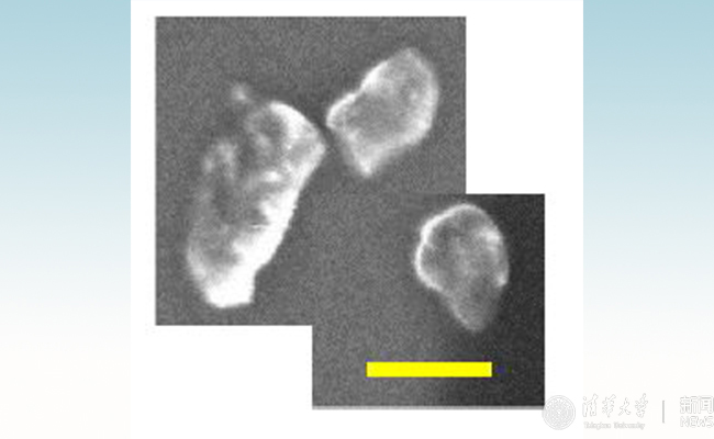 研究人員首次發(fā)現(xiàn)光懸浮納米金剛石扭動(dòng)模式運(yùn)動(dòng)
