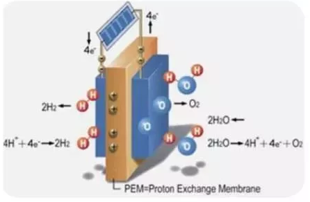 Proton PEM技術(shù)知多少？