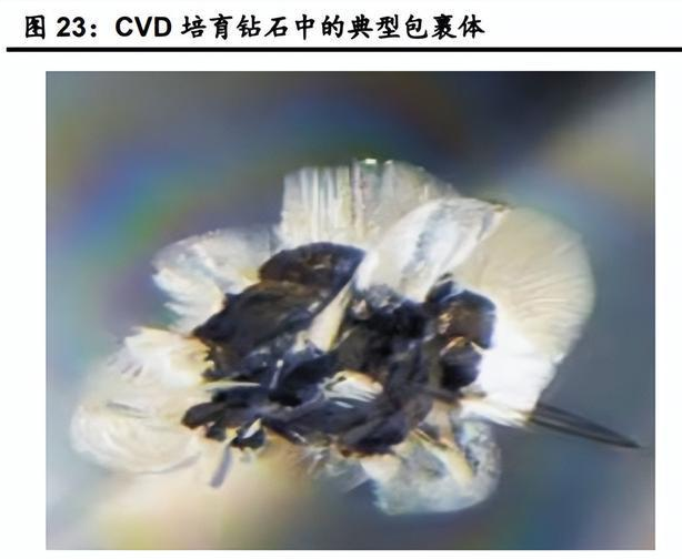 微信截圖_20230324094251.png