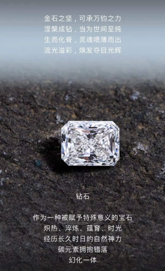 ANOTA與沃爾德攜手打造中國粉鉆新標(biāo)桿